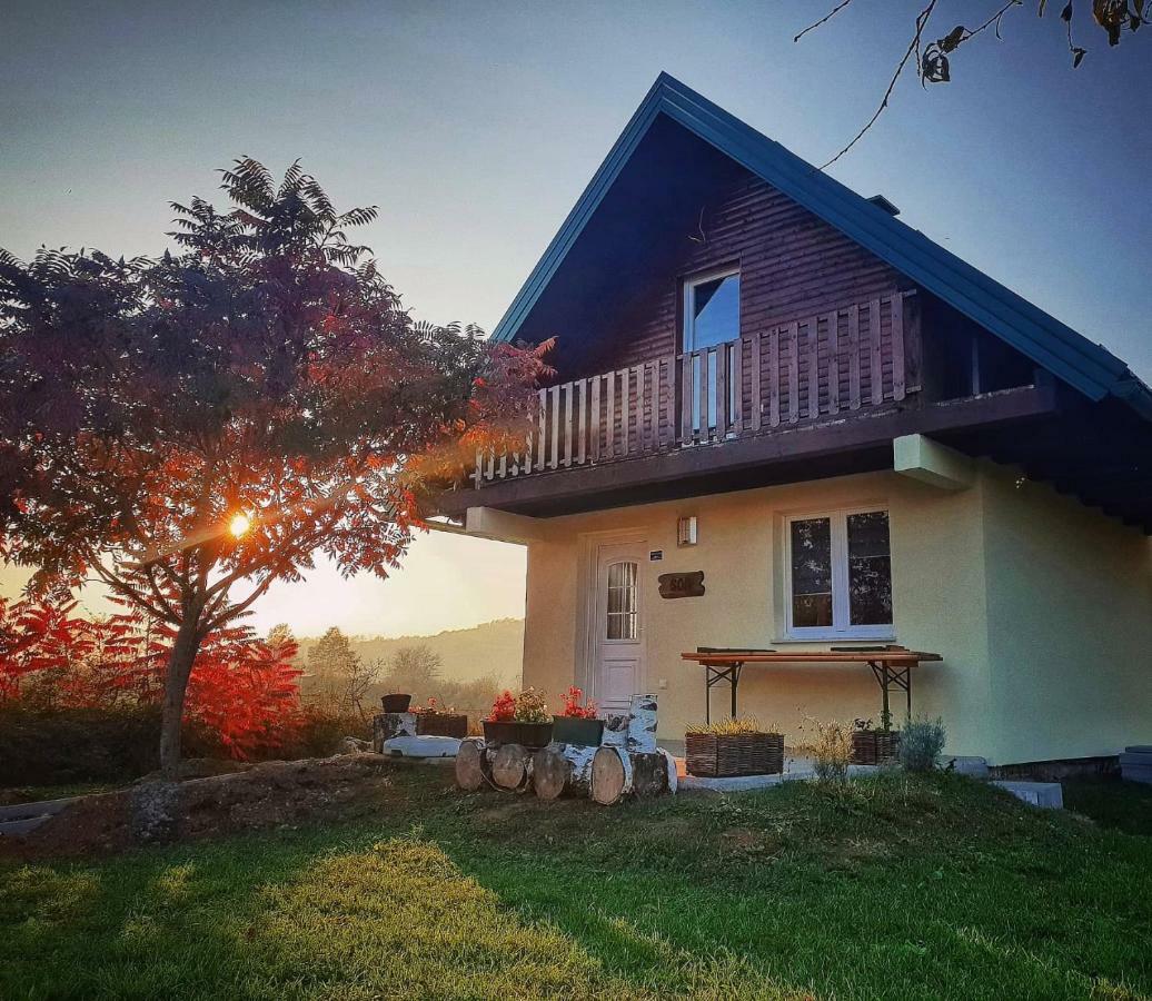 Guesthouse Mreznica- Mreznicka Idila Resort Galovic-Selo Dış mekan fotoğraf
